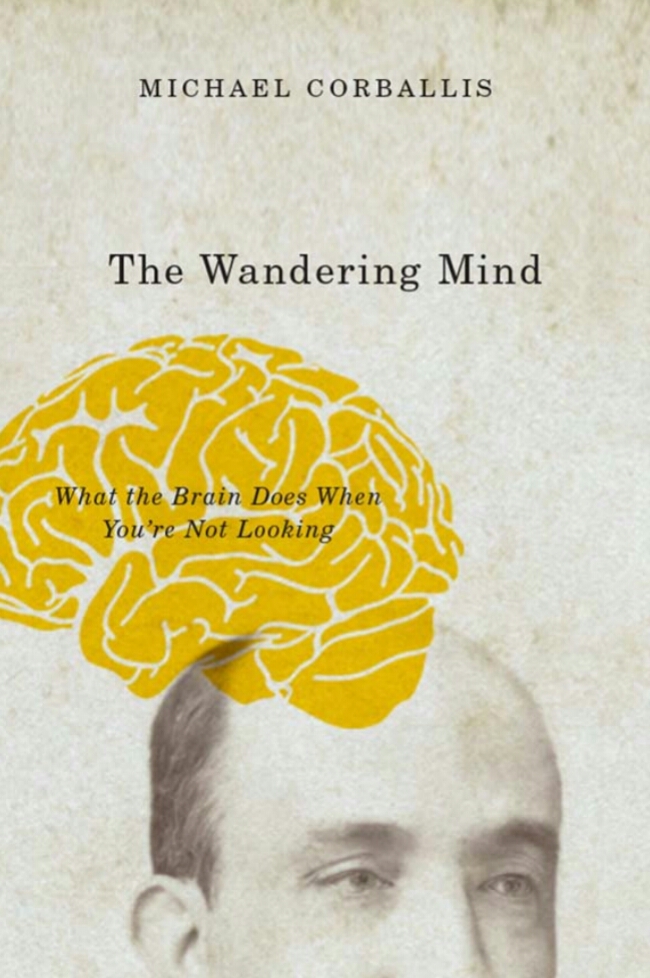 The Wandering Mind: What the Brain Does When You're Not Looking